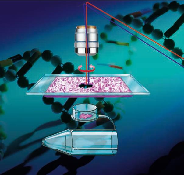 Laser Microdissection Coupled With RNA-seq Analyses To Unravel Plant ...